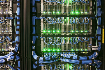 Servers with CAT 5 cables on racks  in a large computer server farm.