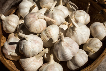 Garlic on rattan basket, Garlic on wicker basket