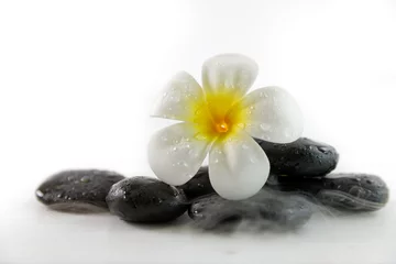 spa concept with candle, stone, flower and bamboo, relaxation