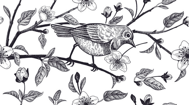 Floral vintage seamless pattern with Japanese cherry and bird.
