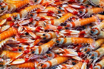 fresh shrimps on ice at the market