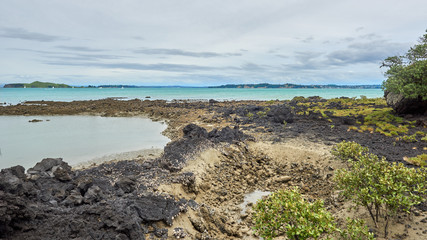 Views from the Coastal Track close to the Rangitoto wharf on Rangitoto island New Zealand