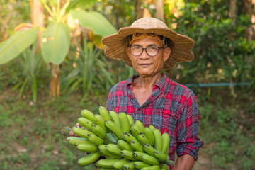  Asian farmer holding banana