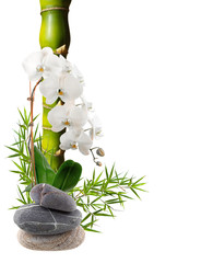 bambou jaune, orchidée blanche et galets 
