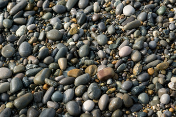 wet smooth stones on the seashore