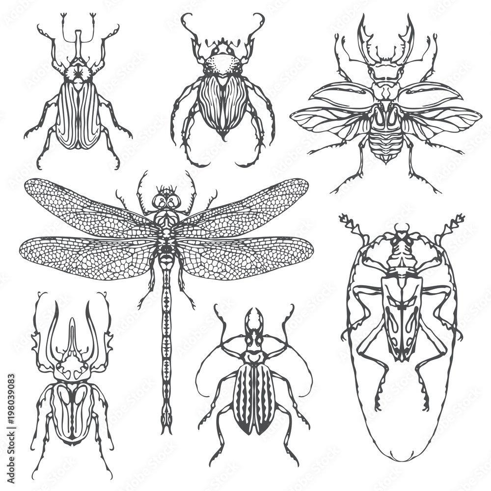 Poster vector set of various insects in retro style. bugs, dragonfly and other beetles. realistic collectio