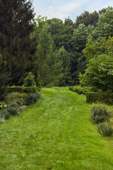 Fototapeta na wymiar Summer landscape with green lawn and path to forest, selective focus