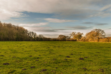 Obraz premium Countryside - Warminster - Wiltshire - UK