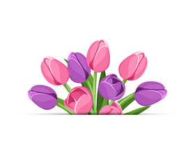 Vector background with pink and purple tulip flowers. 