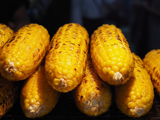 Street food in Bangkok Thailand, Closeup grilled yellow corns on a stove in Khaosan Road in Bangkok