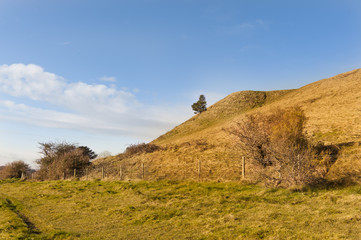 Obraz premium Warminster - Wiltshire- UK- Countryside