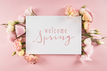 Top view of WELCOME SPRING card and beautiful blooming flowers isolated on pink
