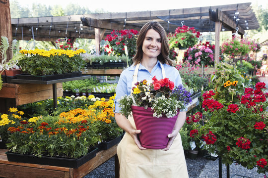 Garden Centre Nursery Employee With Potted Plants.