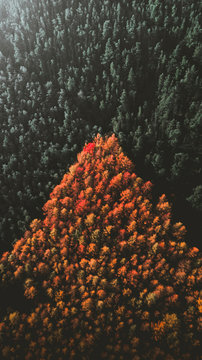 Pyramid
