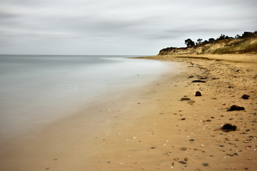 sand beach and dune