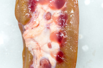 Study and learn about kidney in laboratory.