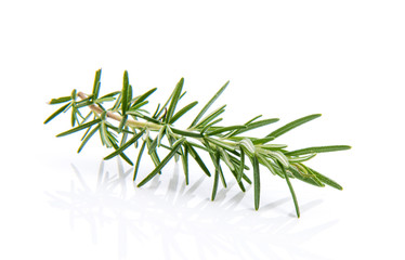 Naklejka premium Rosemary isolated on white background