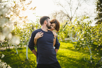 Fototapeta premium couple hugging in blooming garden in the spring at sunset