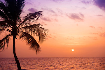 Palm trees silhouette at sunset tropical beach. Orange sunset.