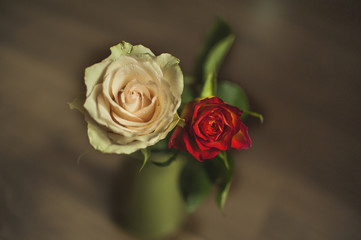 White and Red Rose- vintage composition