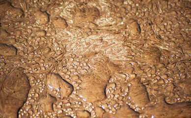 Waterdroop on the bench - Water Drops on the bench - close up