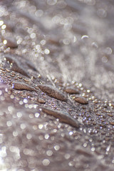 Waterdroop on the bench - Water Drops on the bench - close up