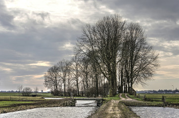 Barren trees towards the end of winter lining the Tiendweg historic footpath between Gouda and Oudewater, the Netherlands