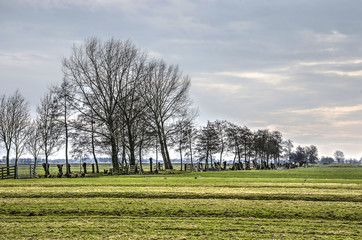Meadows with historic footpath