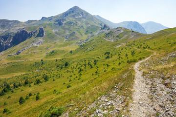 Fototapeta premium Narrow shepherd trail in the mountains 