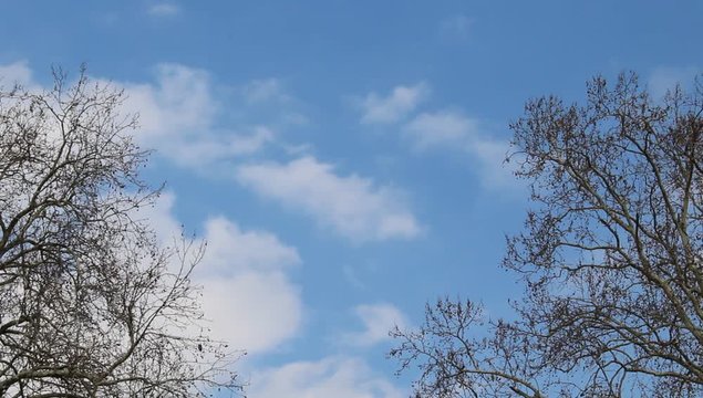 Cielo di Primavera - nuvole