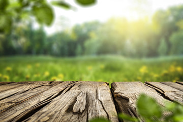table background and spring time 