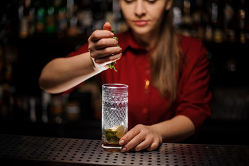 Female bartender adding a fresh mint for a cane sugar with lime
