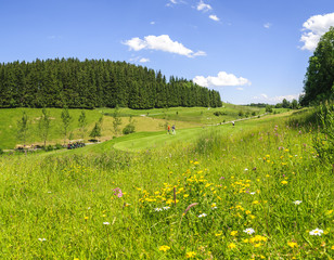 Frühling auf dem Golfplatz