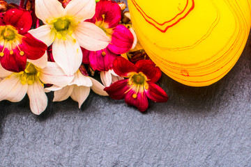 close-up of colorful easter eggs and saxifraga bryoides or mossy saxifrage flowers on stone background with copy space. border template, easter greeting and holiday card.