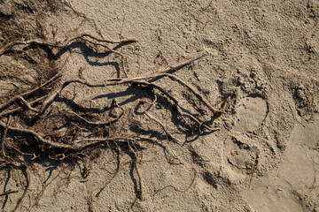 the surface texture of vertical soil sand-clay foundations