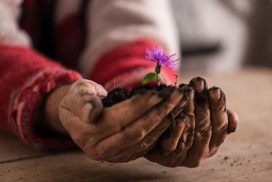 Man with dirty hands holding a purple flower