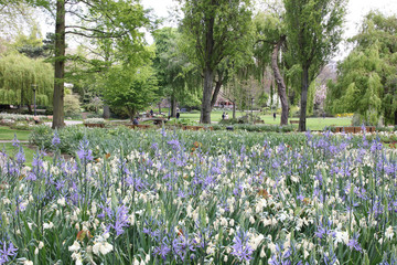 Jardin public au Havre