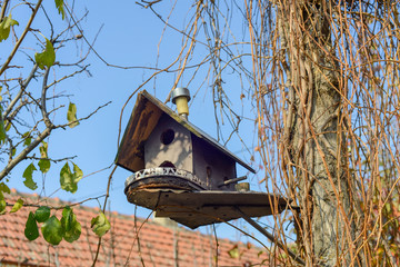 Miniature birdhouse decoration hanging on tree