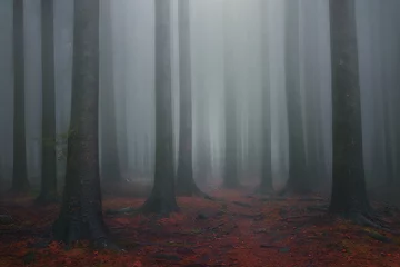 Gordijnen mistig fantasie dromerig bos © mimadeo