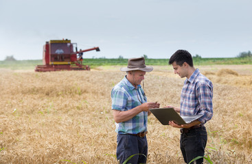 Farmers on wheat harvest