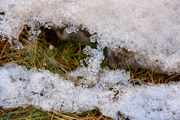 прошлогодняя трава под тающим весной снегом