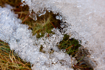 прошлогодняя трава под тающим весной снегом