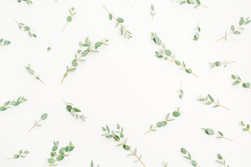 Frame of eucalyptus branch pattern with space for text on white background. Flat lay, top view hero header concept.