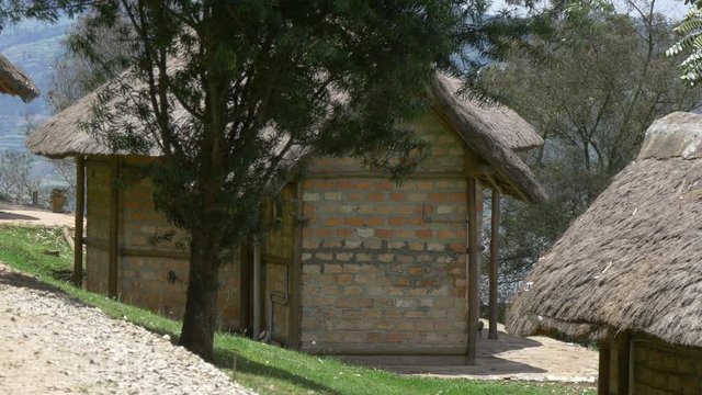 Brick houses with thatched roofs