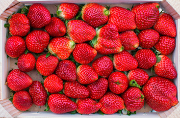 A full box of strawberries
