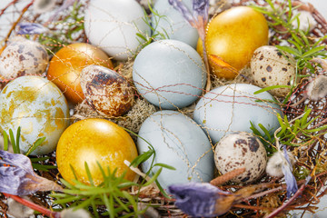 Easter background with Easter eggs and spring flowers. Top view with copy space