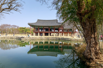 Fototapeta na wymiar Traditional Gwanghalluwon Pavilion scene in spring