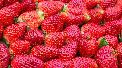 A full box of organic strawberries.