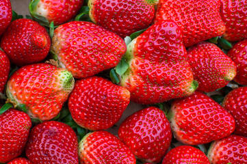 A full box of organic strawberries.