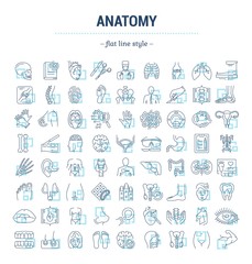 Obraz na płótnie Canvas Vector graphic set. Icons in flat, contour, thin, minimal and linear design. Science of anatomy. Study and structure of human internal organs. Concept illustration for Web site. Sign, symbol, element.